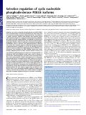 Cover page: Selective regulation of cyclic nucleotide phosphodiesterase PDE3A isoforms