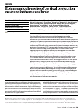 Cover page: Epigenomic diversity of cortical projection neurons in the mouse brain