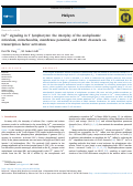 Cover page: Ca2+ signaling in T lymphocytes: the interplay of the endoplasmic reticulum, mitochondria, membrane potential, and CRAC channels on transcription factor activation