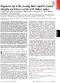 Cover page: Oligomeric Aβ in the monkey brain impacts synaptic integrity and induces accelerated cortical aging