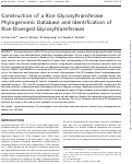 Cover page: Construction of a rice glycosyltransferase phylogenomic database and identification of rice-diverged glycosyltransferases.