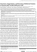 Cover page: Structures, Organization, and Function of Reflectin Proteins in Dynamically Tunable Reflective Cells*
