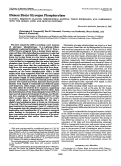 Cover page: Human brain glycogen phosphorylase. Cloning, sequence analysis, chromosomal mapping, tissue expression, and comparison with the human liver and muscle isozymes.