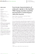 Cover page: Functional characterization of endocytic signals in the SynDIG/PRRT family members SynDIG1 and SynDIG4 in heterologous cells and neurons.