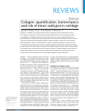 Cover page: Collagen: quantification, biomechanics and role of minor subtypes in cartilage