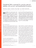 Cover page: Endothelial FAK is essential for vascular network stability, cell survival, and lamellipodial formation