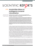 Cover page: Amyloid-like ribbons of amelogenins in enamel mineralization.