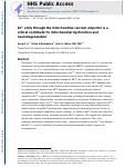 Cover page: Zn2+ entry through the mitochondrial calcium uniporter is a critical contributor to mitochondrial dysfunction and neurodegeneration.