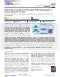 Cover page: Multimodal Imaging Unveils the Impact of Nanotopography on Cellular Metabolic Activities