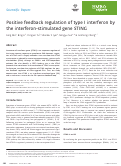 Cover page: Positive feedback regulation of type I interferon by the interferon‐stimulated gene STING