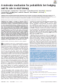 Cover page: A molecular mechanism for probabilistic bet hedging and its role in viral latency