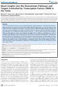 Cover page: Novel Insights into the Downstream Pathways and Targets Controlled by Transcription Factors CREM in the Testis