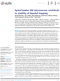 Cover page: Spinal lumbar dI2 interneurons contribute to stability of bipedal stepping