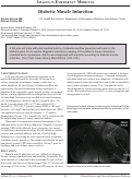 Cover page: Diabetic Muscle Infarction