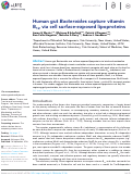 Cover page: Human gut Bacteroides capture vitamin B12 via cell surface-exposed lipoproteins