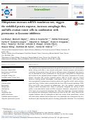 Cover page: Mifepristone increases mRNA translation rate, triggers the unfolded protein response, increases autophagic flux, and kills ovarian cancer cells in combination with proteasome or lysosome inhibitors