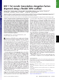 Cover page: HIV-1 Tat recruits transcription elongation factors dispersed along a flexible AFF4 scaffold