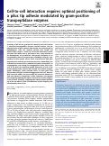 Cover page: Cell-to-cell interaction requires optimal positioning of a pilus tip adhesin modulated by gram-positive transpeptidase enzymes