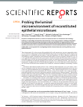 Cover page: Probing the luminal microenvironment of reconstituted epithelial microtissues