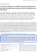 Cover page: The Role of Galanin in Cerebellar Granule Cell Migration in the Early Postnatal Mouse during Normal Development and After Injury