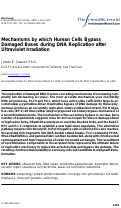 Cover page: Mechanisms by which Human Cells Bypass Damaged Bases during DNA Replication after Ultraviolet Irradiation