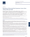 Cover page: Regulation of Head and Neck Squamous Cancer Stem Cells by PI3K and SOX2.