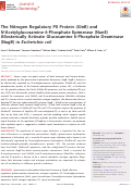 Cover page: The Nitrogen Regulatory PII Protein (GlnB) and N-Acetylglucosamine 6-Phosphate Epimerase (NanE) Allosterically Activate Glucosamine 6-Phosphate Deaminase (NagB) in Escherichia coli.