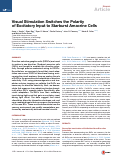 Cover page: Visual Stimulation Switches the Polarity of Excitatory Input to Starburst Amacrine Cells