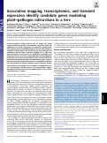 Cover page: Association mapping, transcriptomics, and transient expression identify candidate genes mediating plant–pathogen interactions in a tree