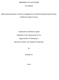 Cover page: Mitochondrial Dynamics: The Role of Adaptations in the Mitochondrial Proteomic Profile in Different Cellular Contexts