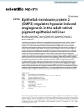 Cover page: Epithelial membrane protein 2 (EMP2) regulates hypoxia-induced angiogenesis in the adult retinal pigment epithelial cell lines