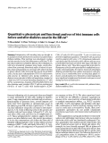 Cover page: Quantitative phenotypic and functional analyses of islet immune cells before and after diabetes onset in the BB rat