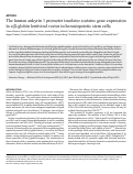 Cover page: The human ankyrin 1 promoter insulator sustains gene expression in a β-globin lentiviral vector in hematopoietic stem cells