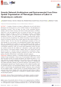 Cover page: Genetic Network Architecture and Environmental Cues Drive Spatial Organization of Phenotypic Division of Labor in Streptomyces coelicolor