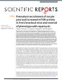 Cover page: Premature recruitment of oocyte pool and increased mTOR activity in Fmr1 knockout mice and reversal of phenotype with rapamycin