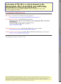 Cover page: Activation of NF-κB is a critical element in the antiapoptotic effect of anesthetic preconditioning