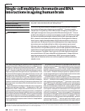 Cover page: Single-cell multiplex chromatin and RNA interactions in ageing human brain.