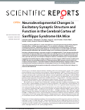 Cover page: Neurodevelopmental Changes in Excitatory Synaptic Structure and Function in the Cerebral Cortex of Sanfilippo Syndrome IIIA Mice