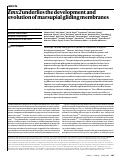 Cover page: Emx2 underlies the development and evolution of marsupial gliding membranes.