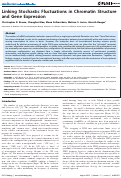 Cover page: Linking stochastic fluctuations in chromatin structure and gene expression.
