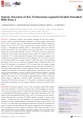 Cover page: Atomic Structure of the Trichomonas vaginalis Double-Stranded RNA Virus 2