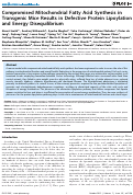 Cover page: Compromised Mitochondrial Fatty Acid Synthesis in Transgenic Mice Results in Defective Protein Lipoylation and Energy Disequilibrium