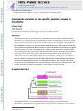 Cover page: Interspecific variation in sex‐specific gustatory organs in Drosophila