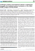 Cover page: Androgen receptor transcriptional activity is required for heregulin-1β–mediated nuclear localization of the HER3/ErbB3 receptor tyrosine kinase