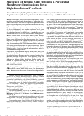 Cover page: Migration of retinal cells through a perforated membrane: implications for a high-resolution prosthesis.