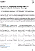 Cover page: Quantitative Brightness Analysis of Protein Oligomerization in the Nuclear Envelope.