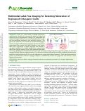 Cover page: Multimodal Label-Free Imaging for Detecting Maturation of Engineered Osteogenic Grafts