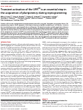 Cover page: Transient activation of the UPRER is an essential step in the acquisition of pluripotency during reprogramming