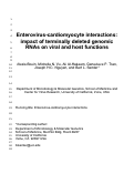 Cover page: Enterovirus-Cardiomyocyte Interactions: Impact of Terminally Deleted Genomic RNAs on Viral and Host Functions