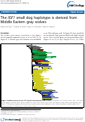 Cover page: Correction: The IGF1 small dog haplotype is derived from Middle Eastern gray wolves